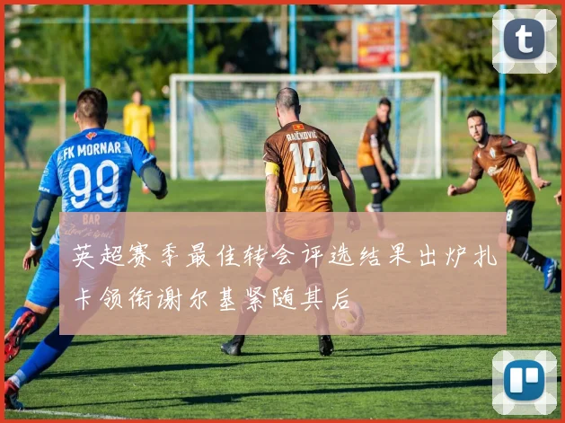 英超赛季最佳转会评选结果出炉扎卡领衔谢尔基紧随其后